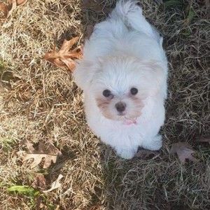 Meet your Posher, Vickie